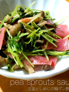 豆苗としめじの簡単梅ポン酢炒め-レシピのメイン写真