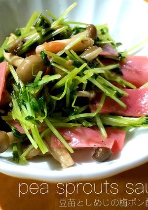 豆苗としめじの簡単梅ポン酢炒め-レシピのメイン写真