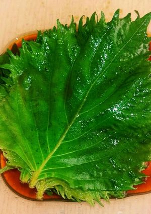 青じその醤油漬け⭐-レシピのメイン写真