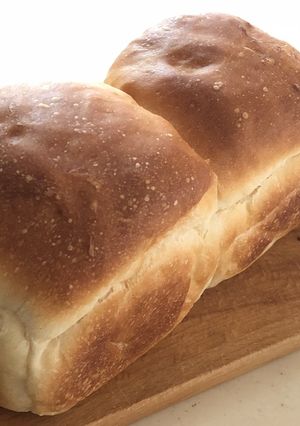 FP食パン : 低温発酵で楽して美味しく-レシピのメイン写真