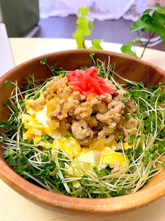 そぼろ丼-レシピのメイン写真
