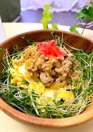 そぼろ丼-レシピのメイン写真