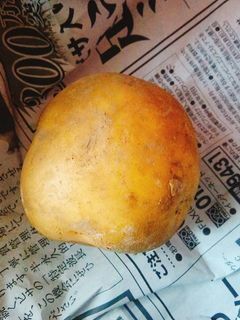 【龍愛】じゃがいもの保存方法-レシピのメイン写真