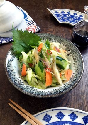 夏【麹浅漬け】-レシピのメイン写真