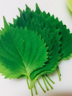 【龍愛】大葉の保存方法-レシピのメイン写真