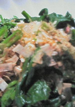 ほうれん草のおかかまぶし-レシピのメイン写真