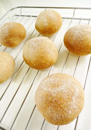 もっちり❀プチパン 全粒粉-レシピのメイン写真