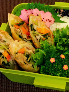 豚肉と豆苗のあっさり春巻き♪-レシピのメイン写真