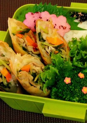 豚肉と豆苗のあっさり春巻き♪-レシピのメイン写真
