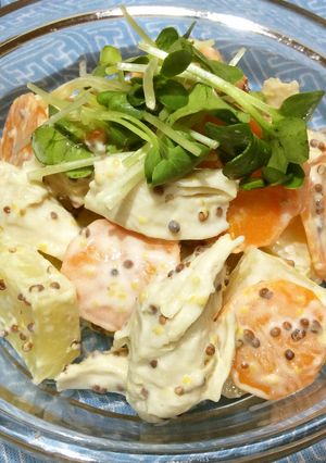 ササミと野菜のマスタードサラダ-レシピのメイン写真