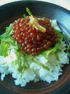 生筋子から作るいくらの醤油漬け-レシピのメイン写真