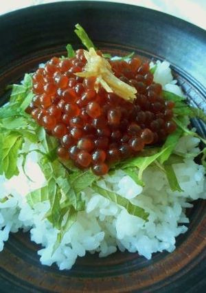 生筋子から作るいくらの醤油漬け-レシピのメイン写真