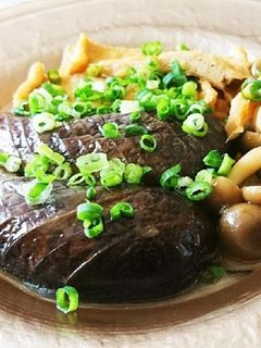 揚げない♪とろとろ茄子の簡単煮びたし-レシピのメイン写真