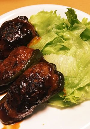 ハンバーグ種でピーマンの肉詰め-レシピのメイン写真