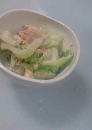 白菜のサラダ風-レシピのメイン写真