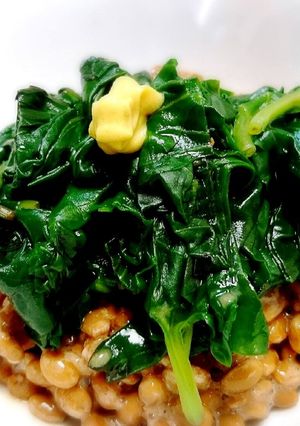 オカワカメと納豆のネバネバ和え♪-レシピのメイン写真