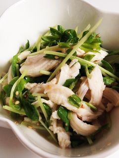 簡単!鶏胸肉と豆苗の豆乳ごま和え-レシピのメイン写真