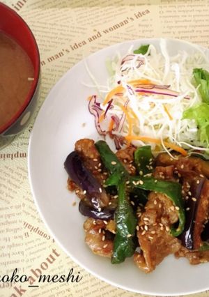 なすとピーマンの豚肉味噌炒め-レシピのメイン写真