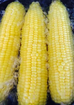 甘くて美味！我が家のトウモロコシの茹で方-レシピのメイン写真