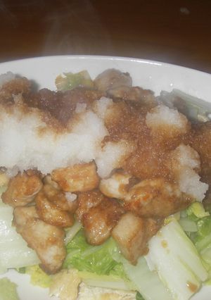 白菜と豚肉~大根おろしを添えて・・-レシピのメイン写真