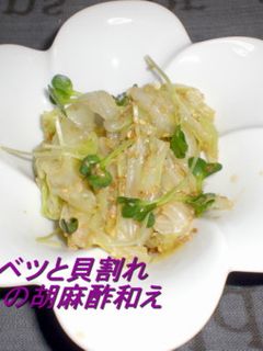 キャベツと貝割れの胡麻酢和え-レシピのメイン写真