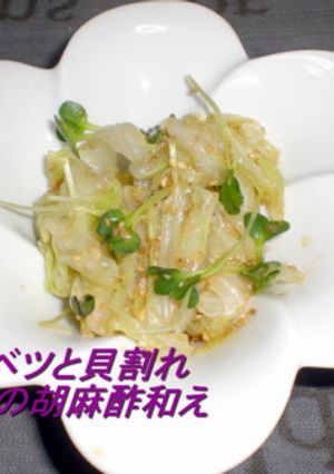 キャベツと貝割れの胡麻酢和え-レシピのメイン写真