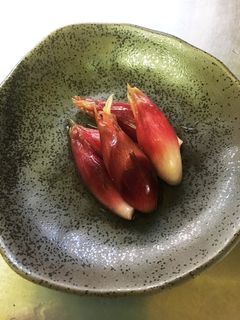 色鮮やか♡簡単ミョウガの甘酢漬け-レシピのメイン写真