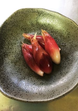 色鮮やか♡簡単ミョウガの甘酢漬け-レシピのメイン写真