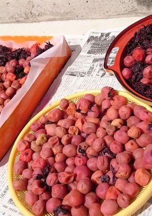 梅干し-レシピのメイン写真