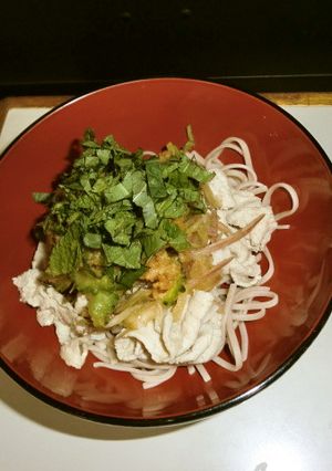 醤油麹のゴーヤ豚冷しゃぶそば-レシピのメイン写真