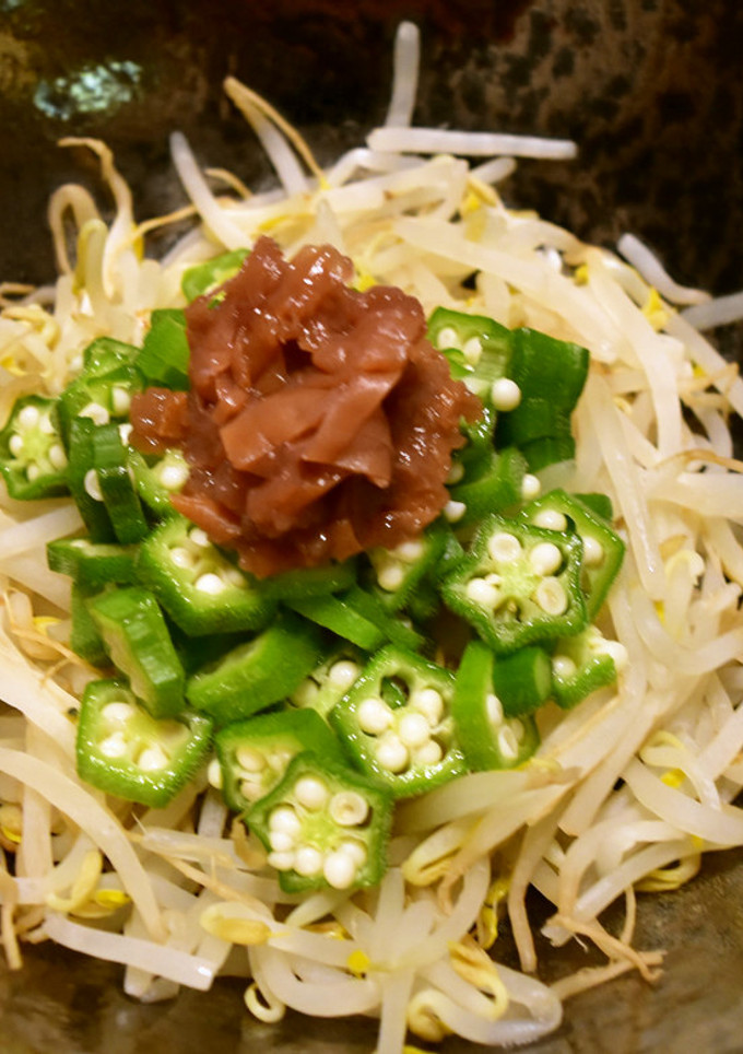 さっぱり★オクラともやしの梅肉和え-レシピのメイン写真