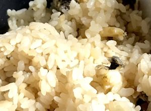めちゃウマ簡単アワビの炊き込みご飯✨-レシピのメイン写真
