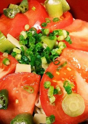 サムライ特製冷やしほうとう❤-レシピのメイン写真