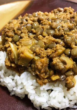 レンズ豆とレンコンと鶏挽肉のドライキーマ-レシピのメイン写真