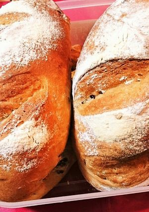 胡桃とクランベリーのパン-レシピのメイン写真
