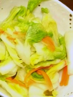 白菜の本格風『手抜き浅漬け』-レシピのメイン写真