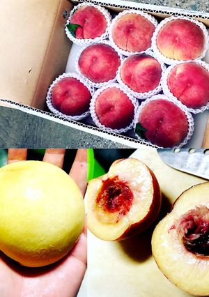 桃の種のとり方・農園の方に教えて貰った☆-レシピのメイン写真
