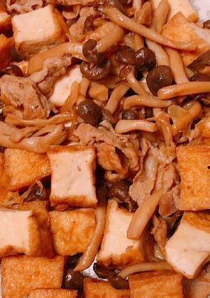 厚揚げ＆豚コマ＆しめじ炒め煮✨-レシピのメイン写真