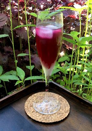 クエン酸で赤シソジュース-レシピのメイン写真