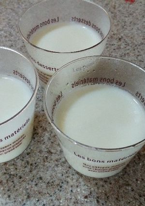 牛乳ヨーグルトゼリー-レシピのメイン写真