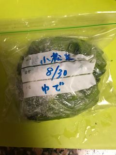 小松菜の冷凍保存方法-レシピのメイン写真