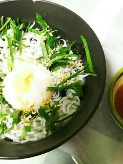 さっぱり しらす丼-レシピのメイン写真