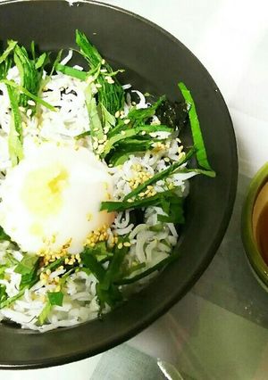 さっぱり しらす丼-レシピのメイン写真