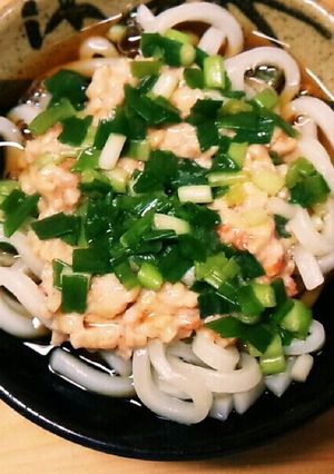しそ梅と納豆のぶっかけうどん-レシピのメイン写真