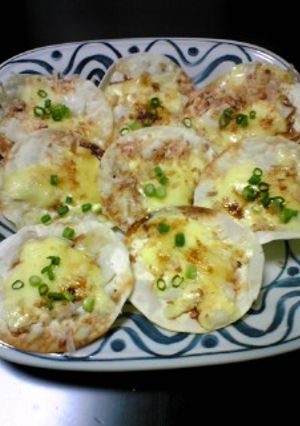 パリパリ餃子の皮ピザ風-レシピのメイン写真