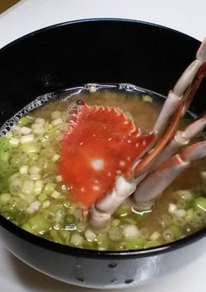 渡り蟹の味噌汁-レシピのメイン写真