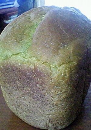 大麦若葉粉末入りパン-レシピのメイン写真