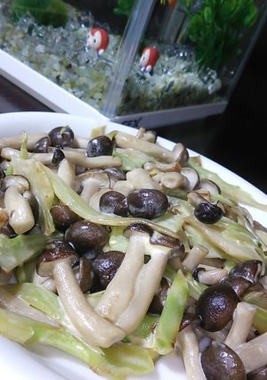 ブロッコリーの茎は焼くとメンマに変身だ-レシピのメイン写真