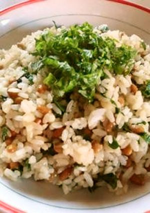 納豆炒飯-レシピのメイン写真