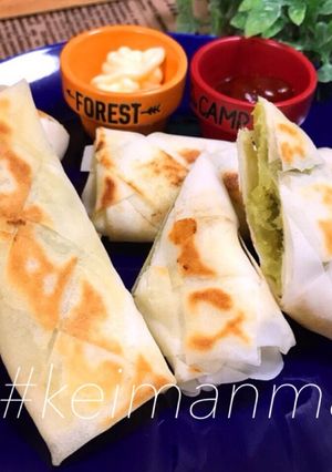 編み込み焼き春巻き-レシピのメイン写真